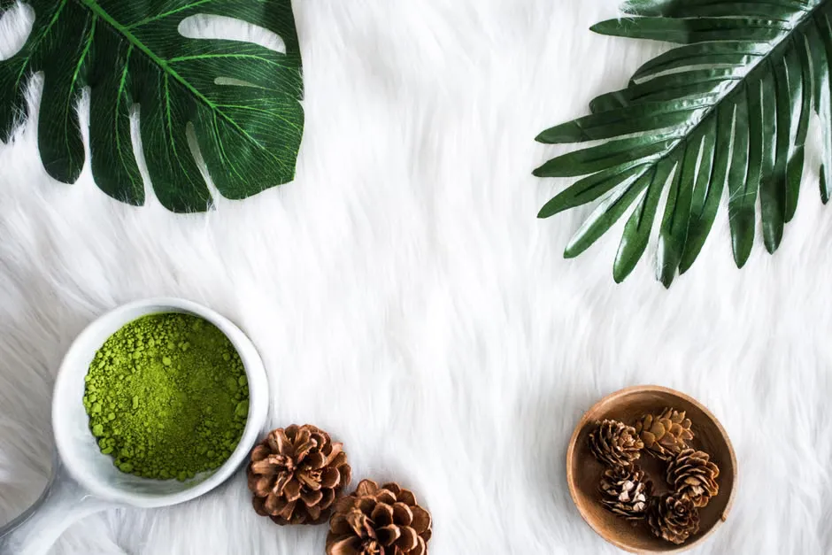 Matcha powder flat lay